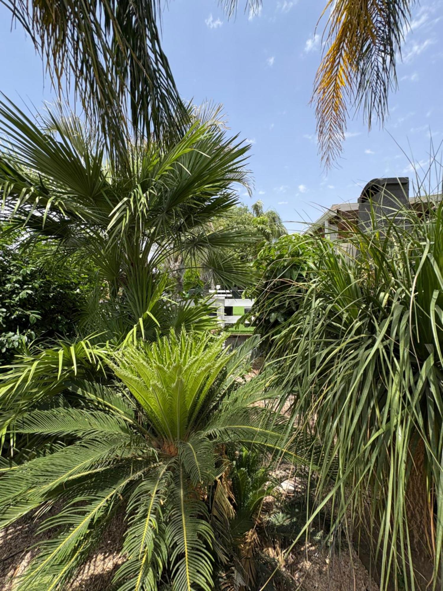 Kesem Bagolan Villa Had Nes Buitenkant foto