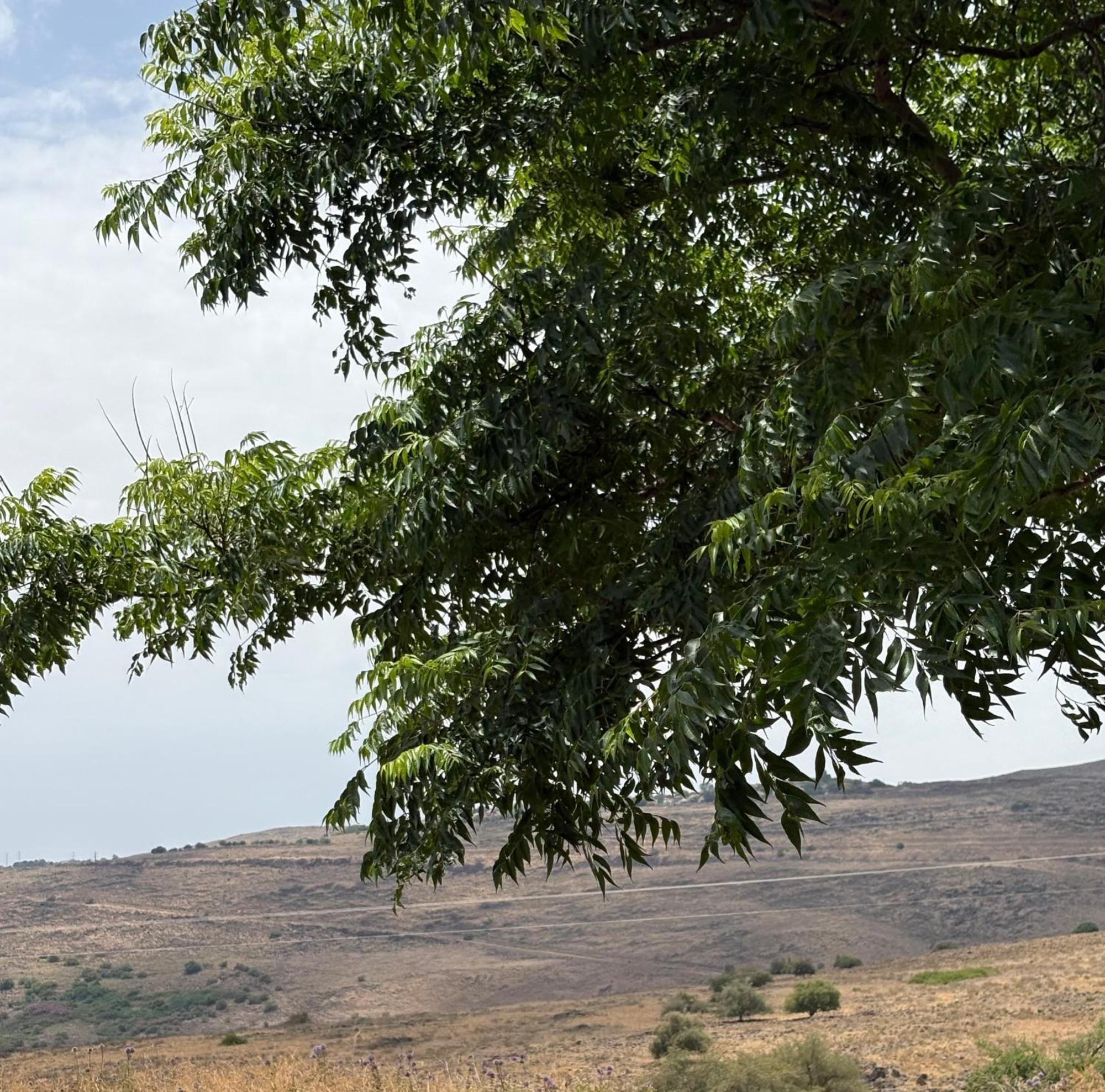 Kesem Bagolan Villa Had Nes Buitenkant foto